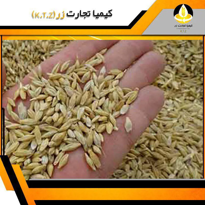 تصویر شماره 1 محصول 