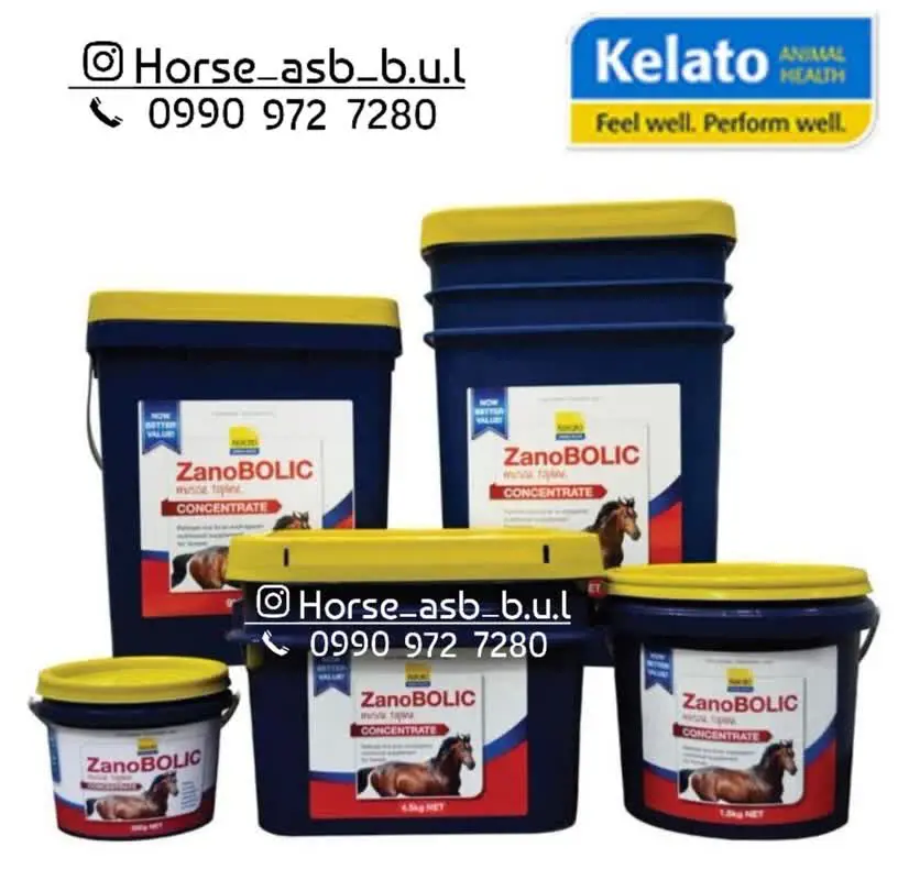 تصویر شماره 1 محصول 