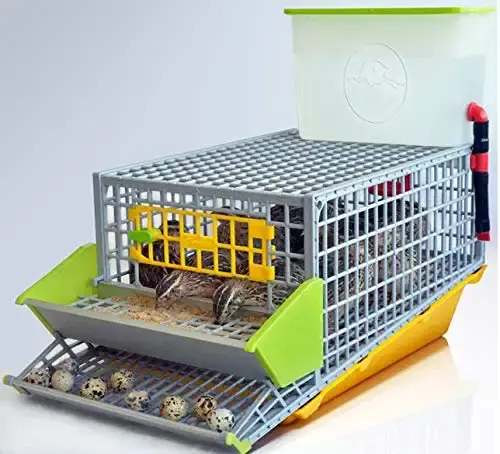 تصویر شماره 1 محصول 