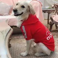 تصویر شماره 2 محصول 