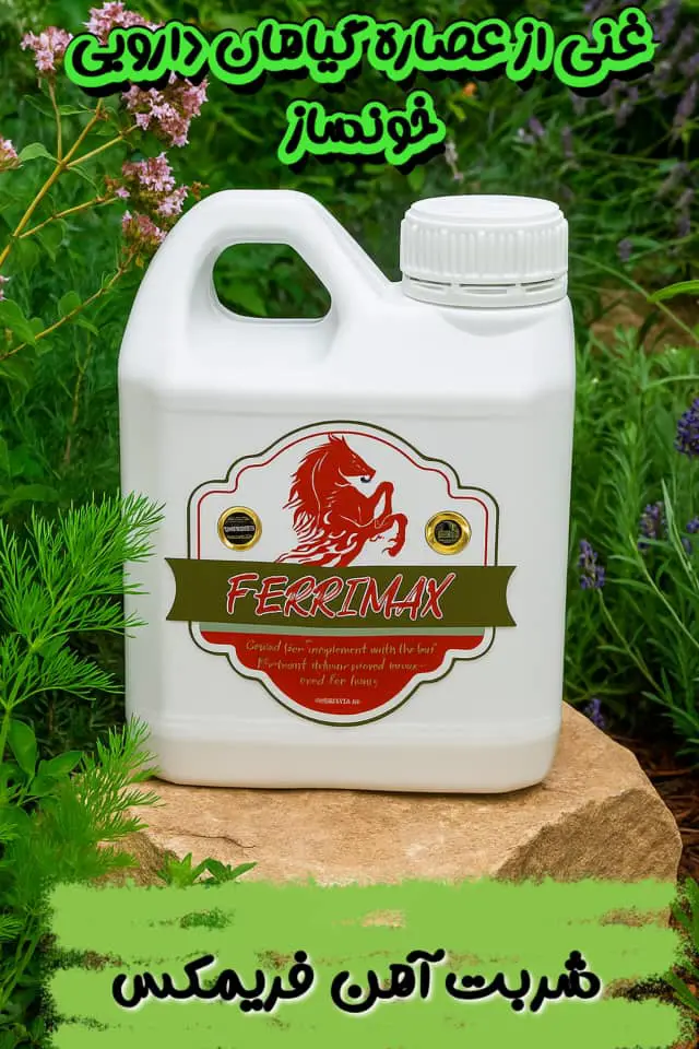 تصویر شماره 4 محصول 