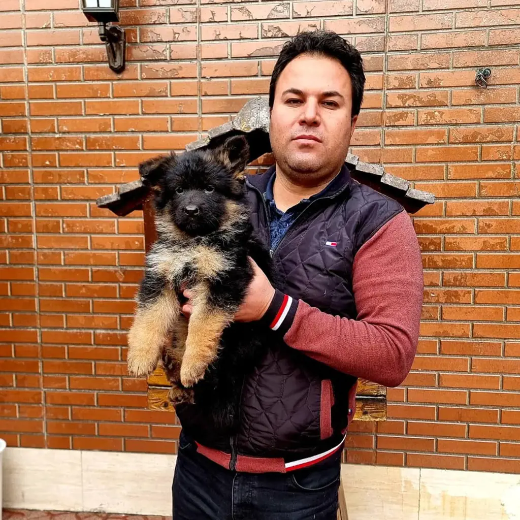 تصویر شماره 2 محصول 