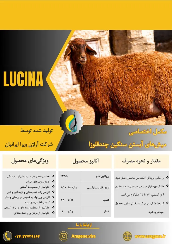 تصویر شماره 1 محصول 