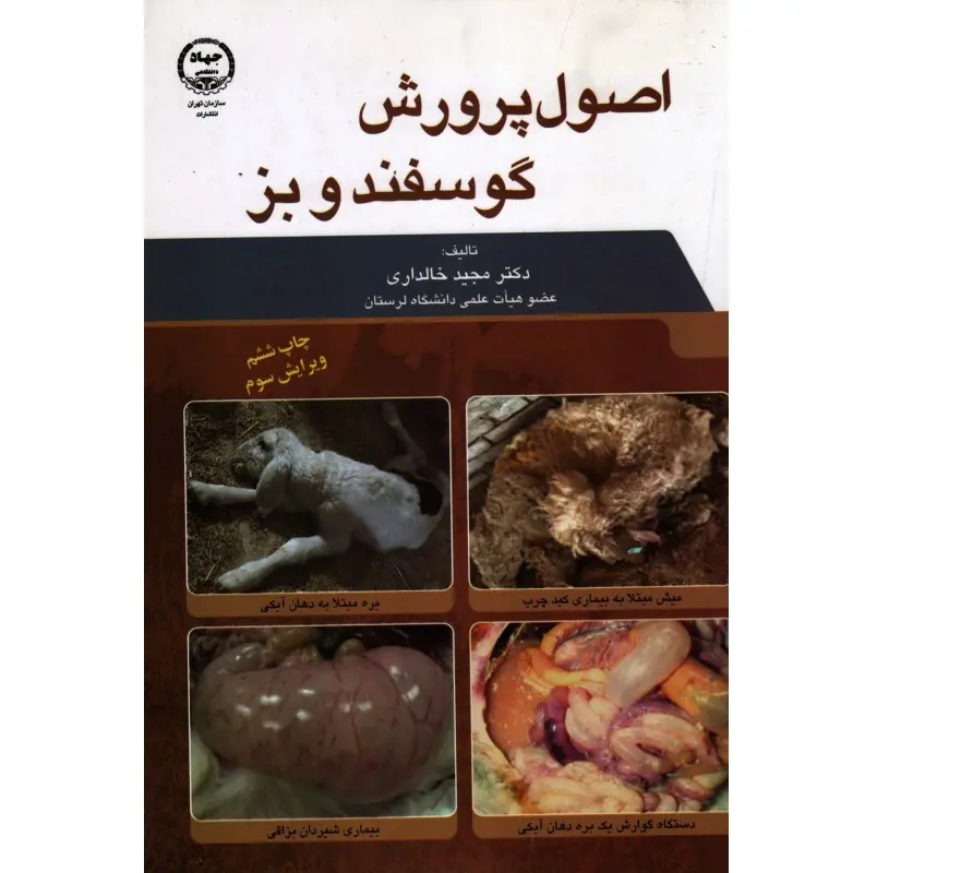 تصویر شماره 1 محصول 