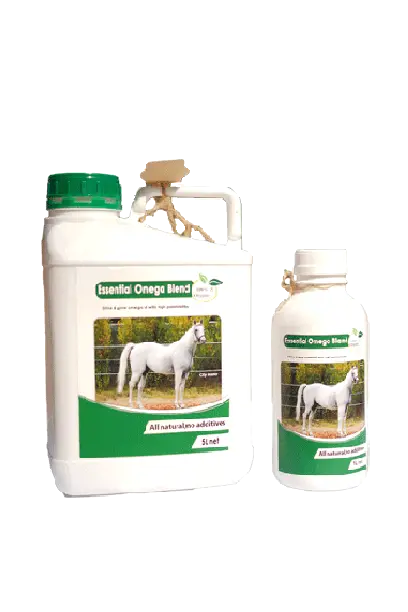 تصویر شماره 1 محصول 