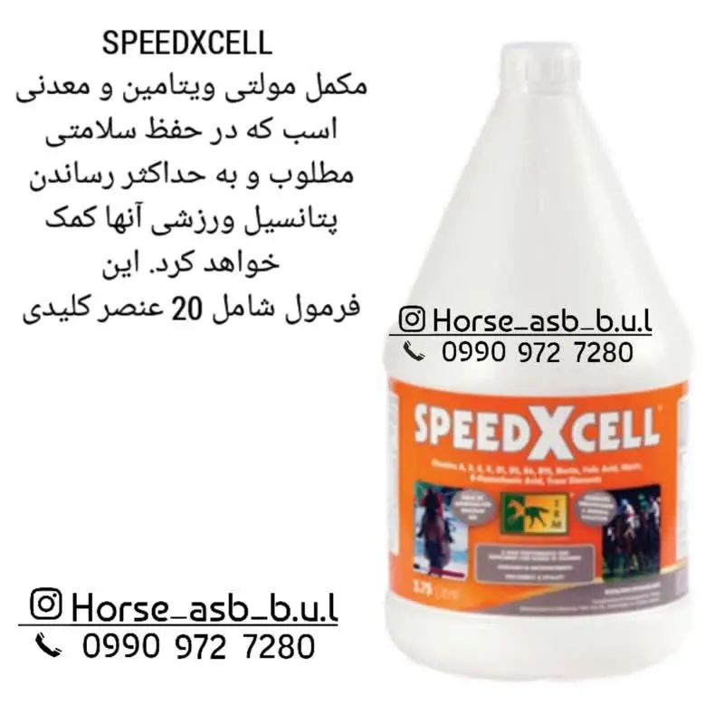 تصویر شماره 1 محصول 