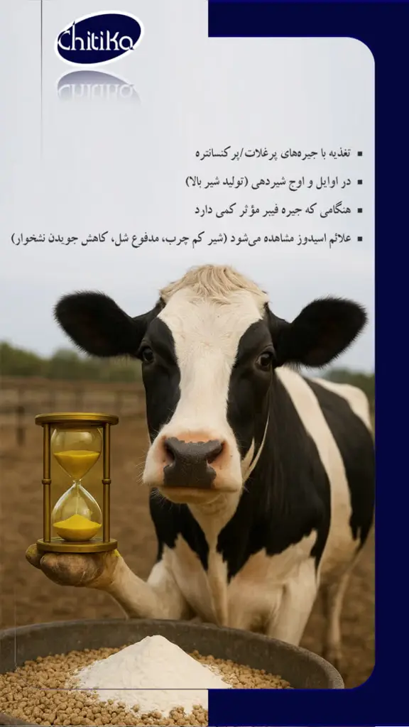 تصویر شماره 2 محصول 