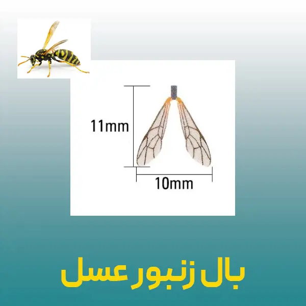 تصویر شماره 3 محصول 