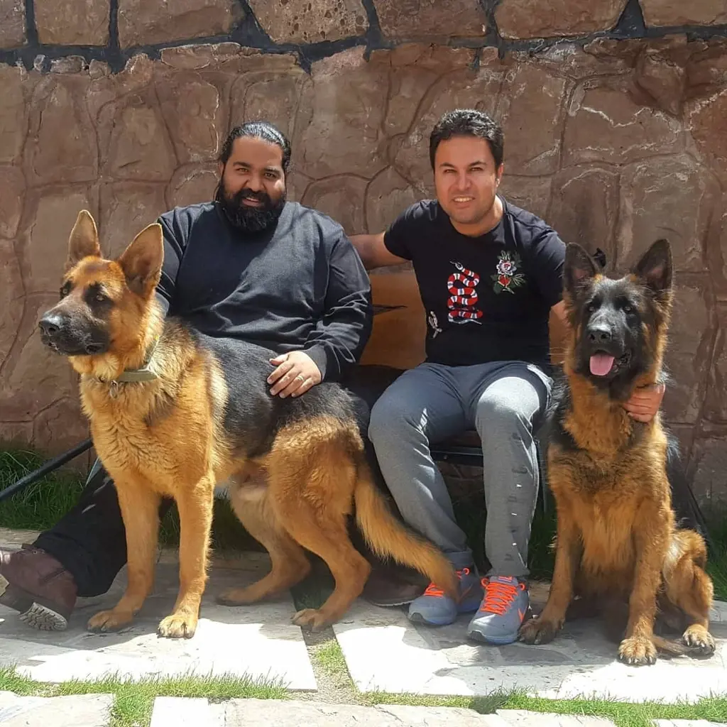 تصویر شماره 3 محصول 