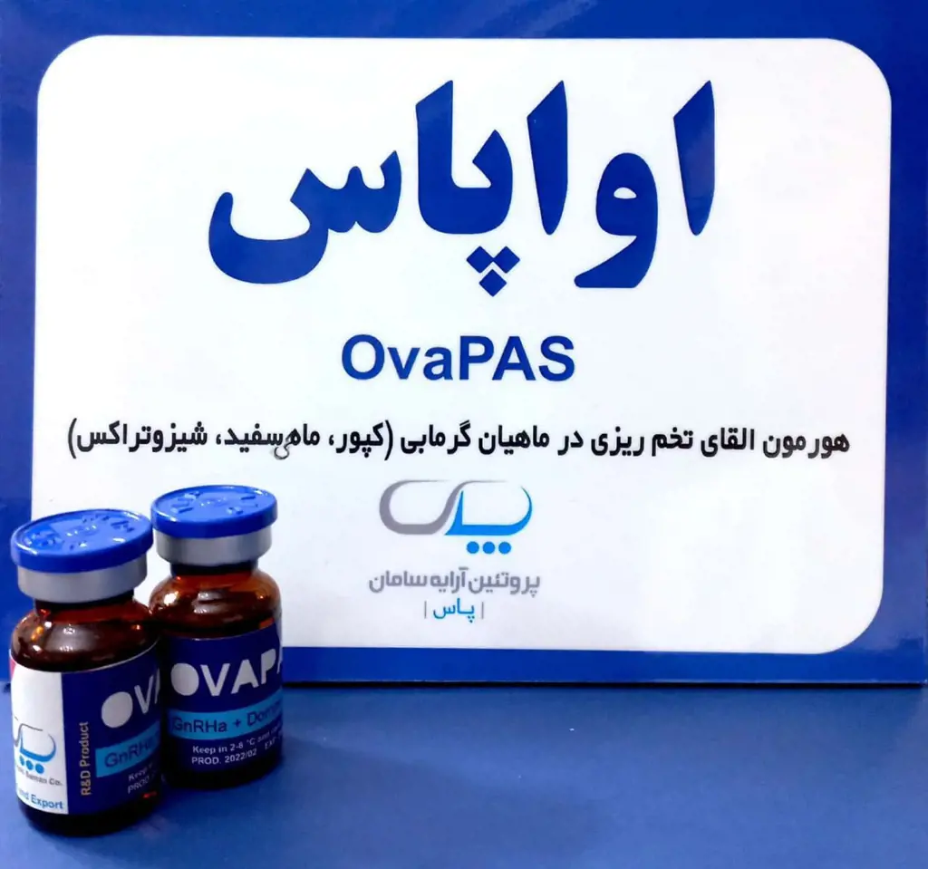 تصویر شماره 1 محصول 