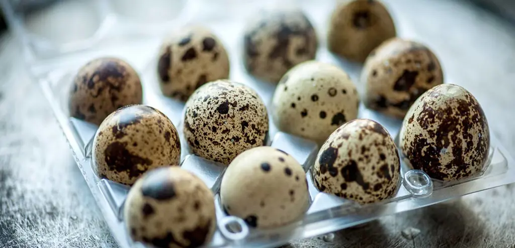 تصویر شماره 4 محصول 