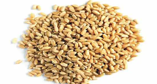 تصویر شماره 1 محصول 