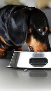 تصویر شماره 1 محصول 