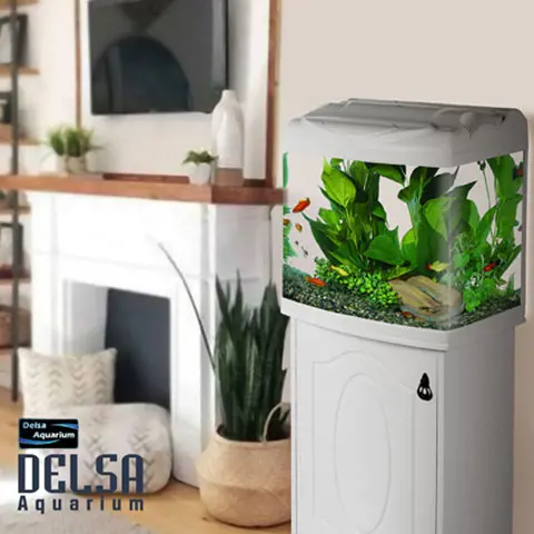 تصویر شماره 1 محصول 