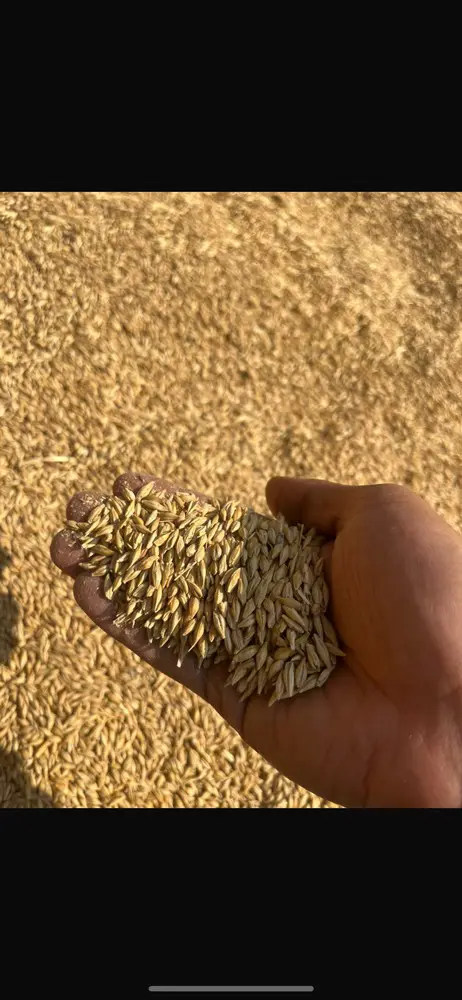 تصویر شماره 1 محصول 