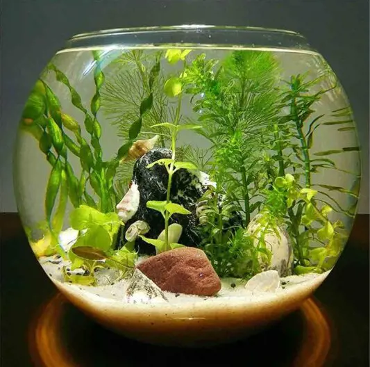 تصویر شماره 1 محصول 