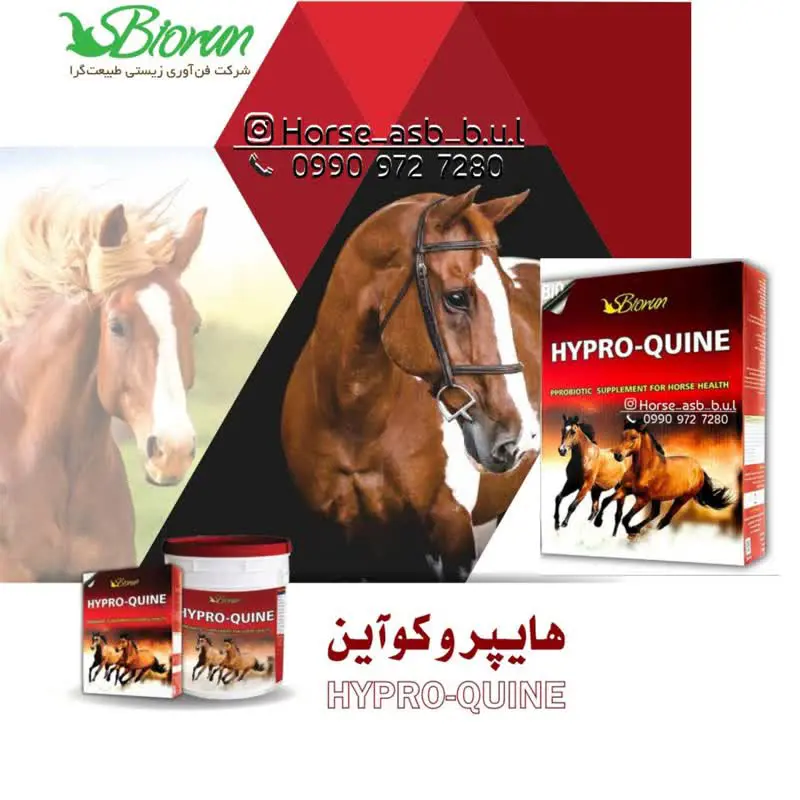 تصویر شماره 3 محصول 