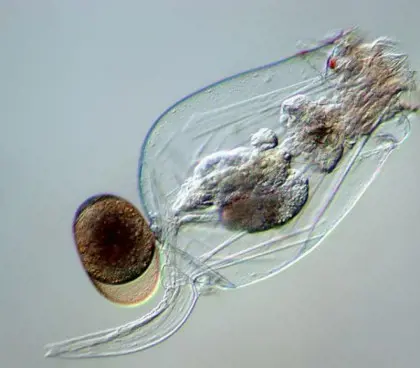 تصویر شماره 3 محصول 