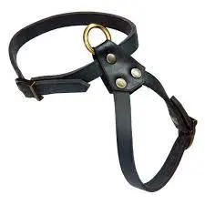 تصویر شماره 1 محصول 