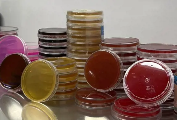 تصویر شماره 1 محصول 