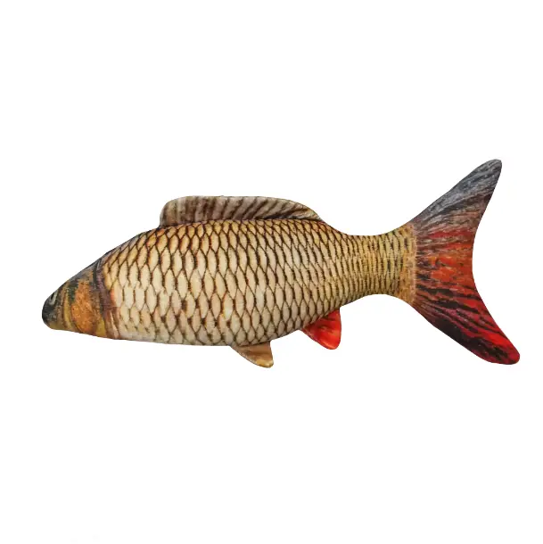 تصویر شماره 1 محصول 