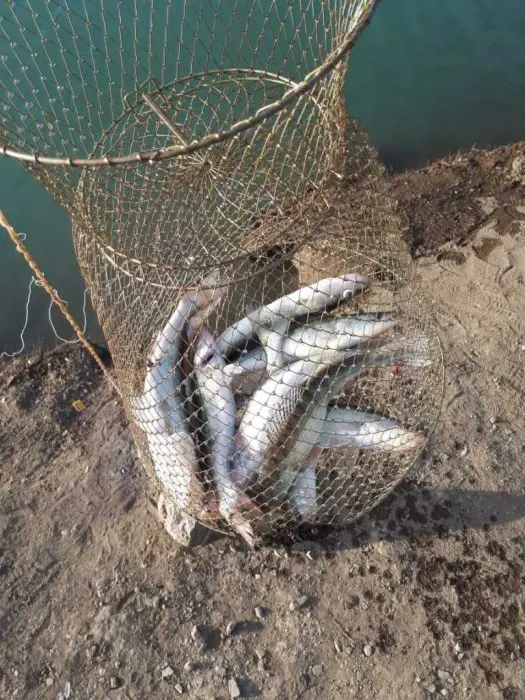 تصویر شماره 2 محصول 