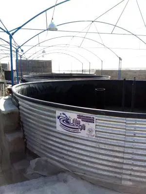 تصویر شماره 2 محصول 