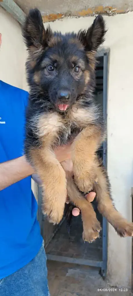 تصویر شماره 1 محصول 