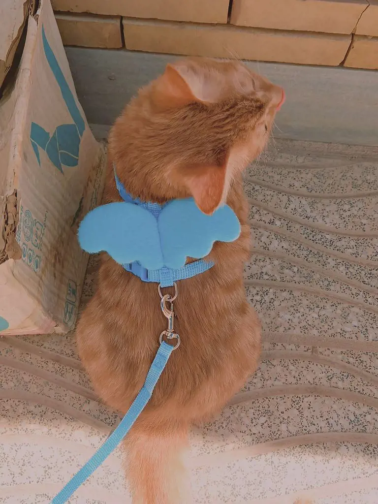 تصویر شماره 3 محصول 