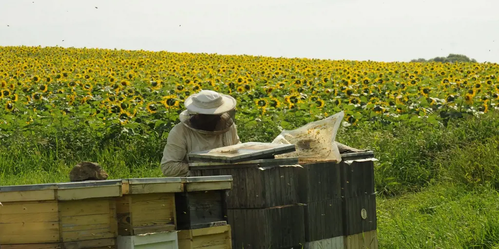 تصویر شماره 1 محصول 