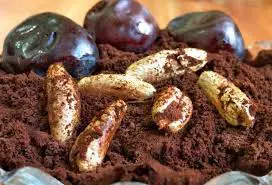 تصویر شماره 1 محصول 