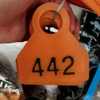 تصویر شماره 1 محصول 