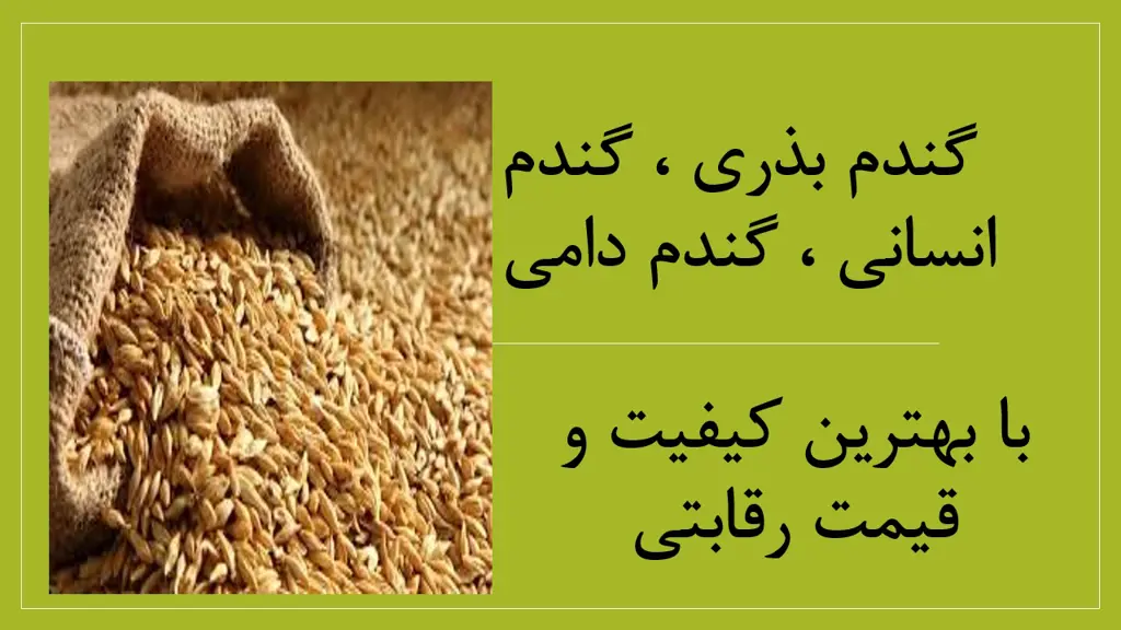 تصویر شماره 1 محصول 