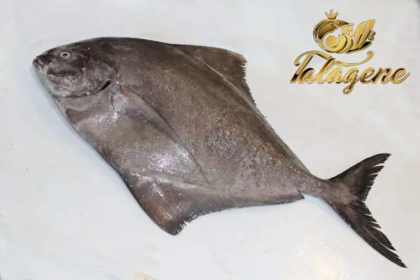 تصویر شماره 1 محصول 