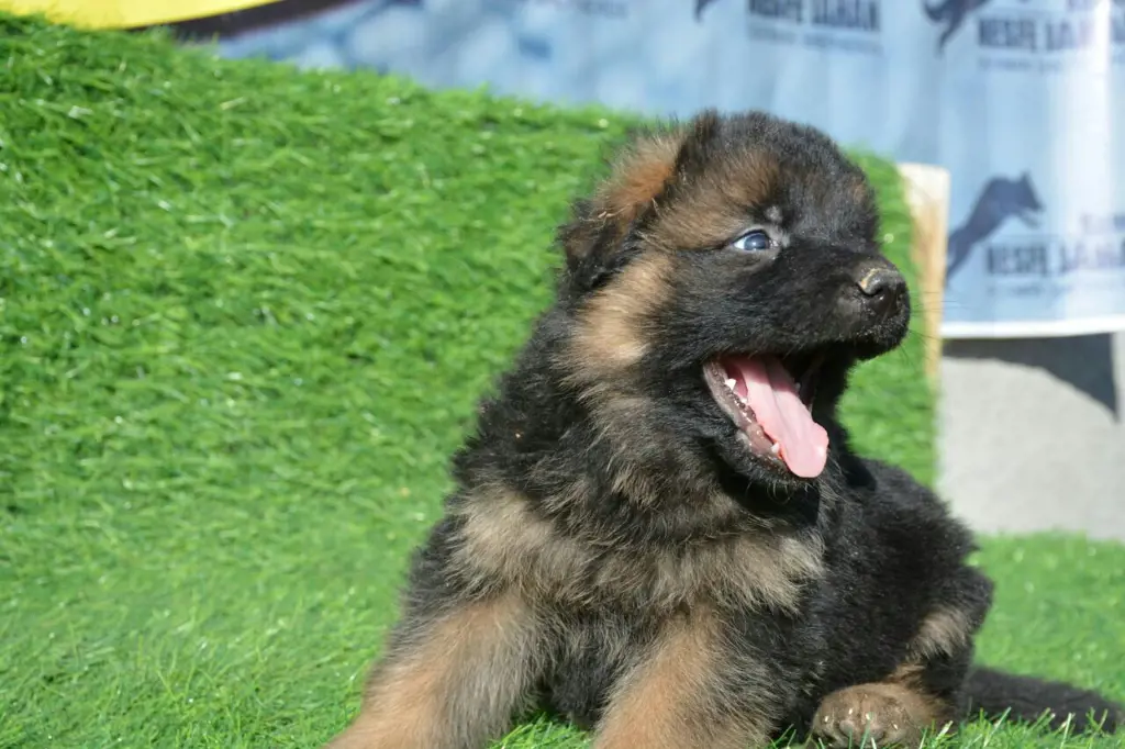 تصویر شماره 2 محصول 