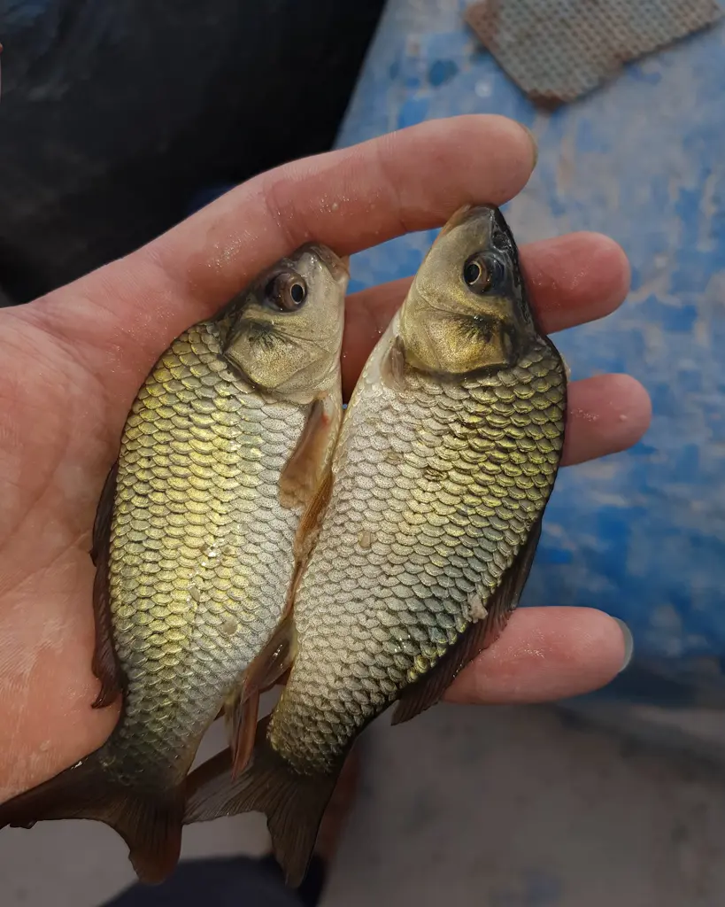 تصویر شماره 3 محصول 