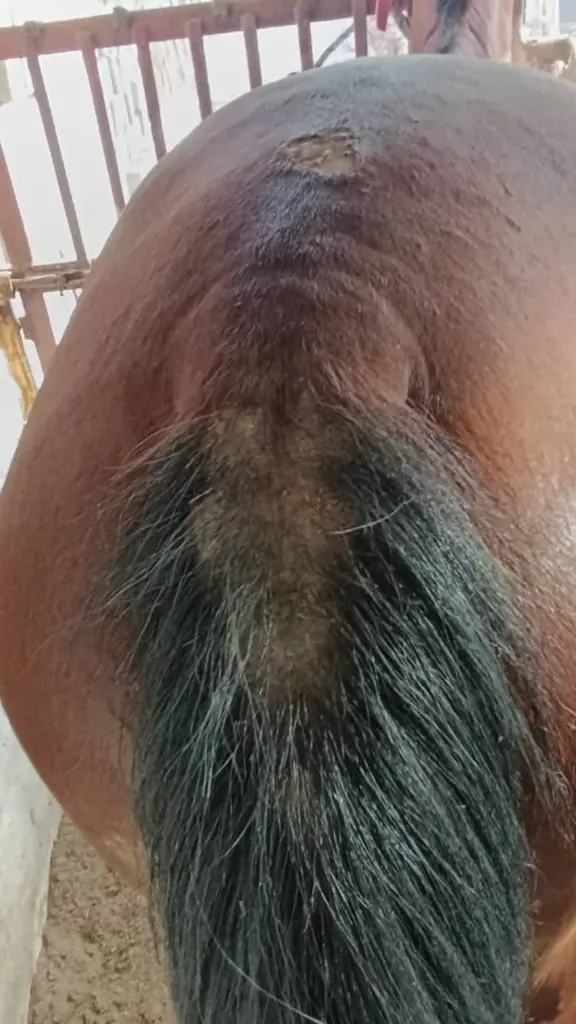 تصویر شماره 3 محصول 