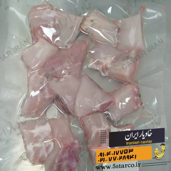 تصویر شماره 1 محصول 