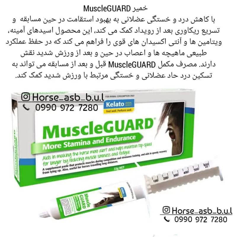 تصویر شماره 1 محصول 