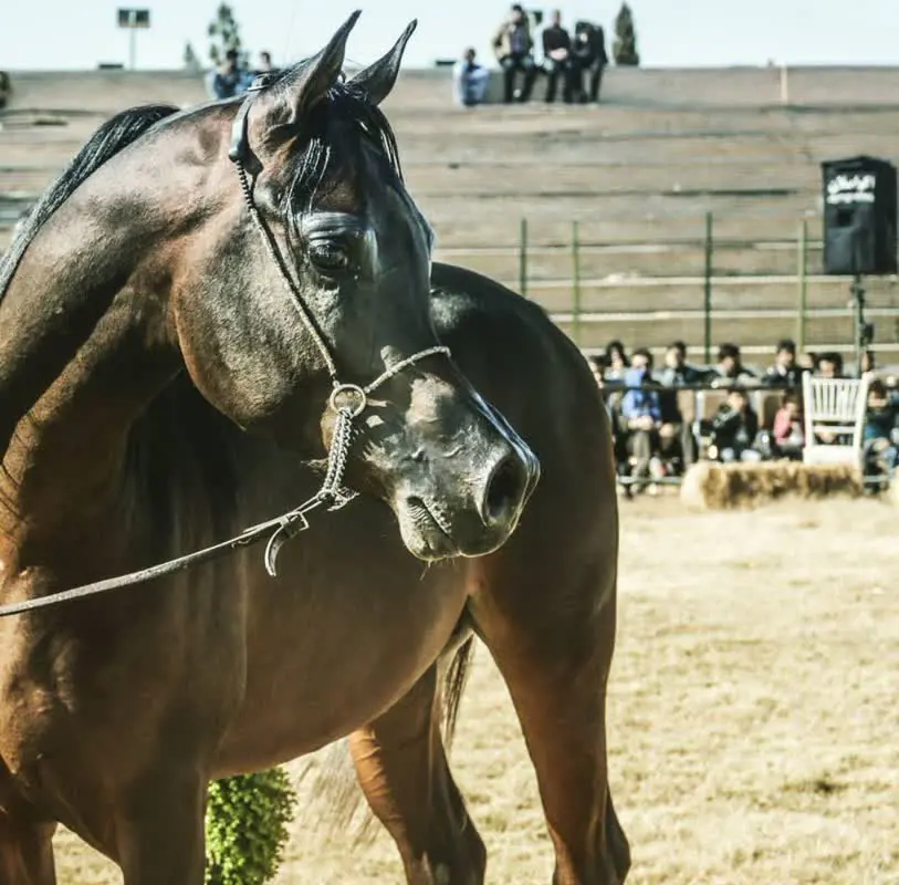 تصویر شماره 3 محصول 