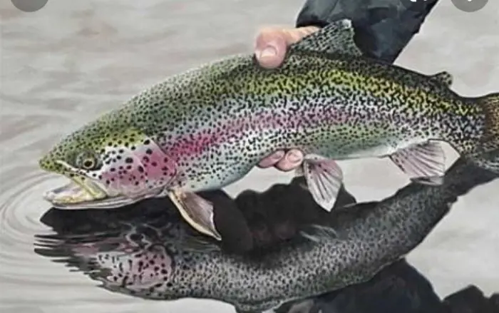 تصویر شماره 3 محصول 