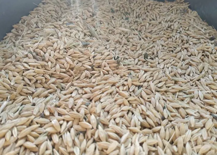 تصویر شماره 1 محصول 