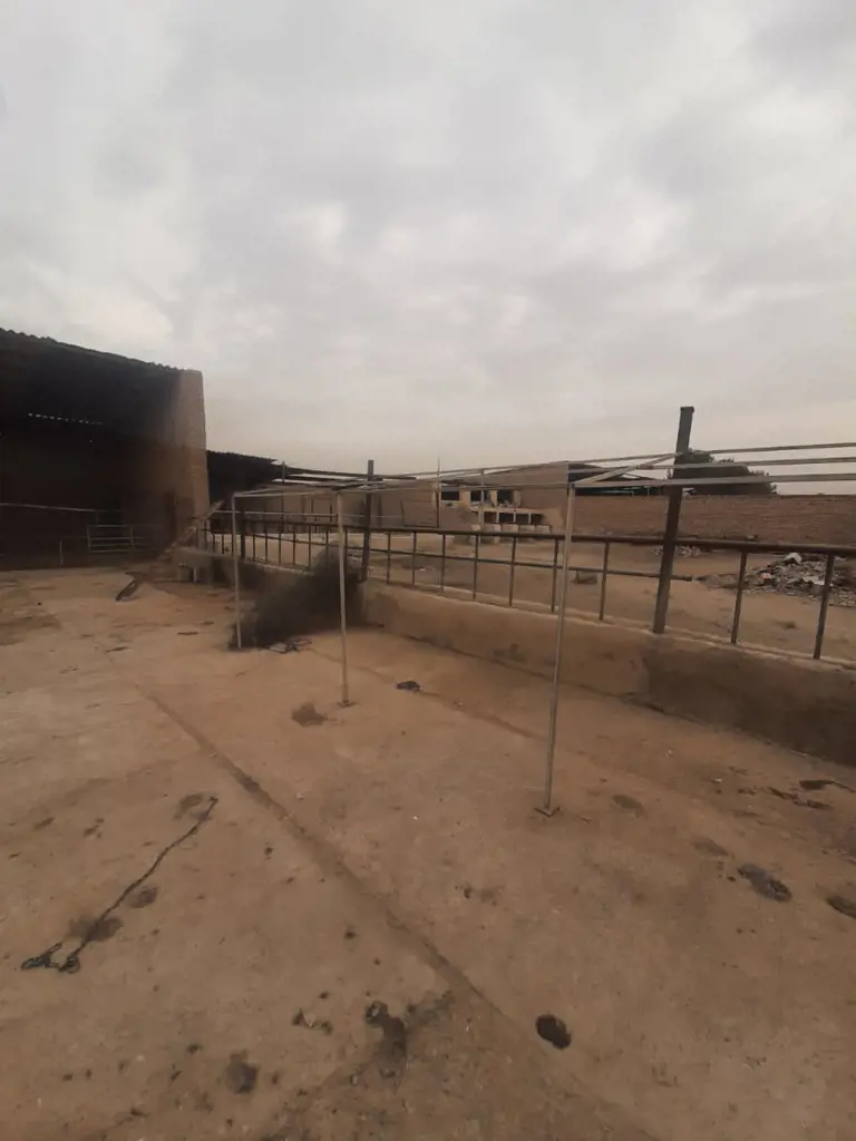 تصویر شماره 1 محصول 