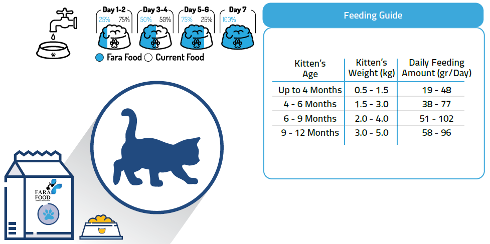 تصویر شماره 3 محصول 
