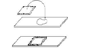 تصویر شماره 1 خدمت 