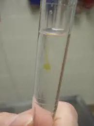 تصویر شماره 2 خدمت 