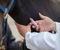 تصویر شماره 2 خدمت 