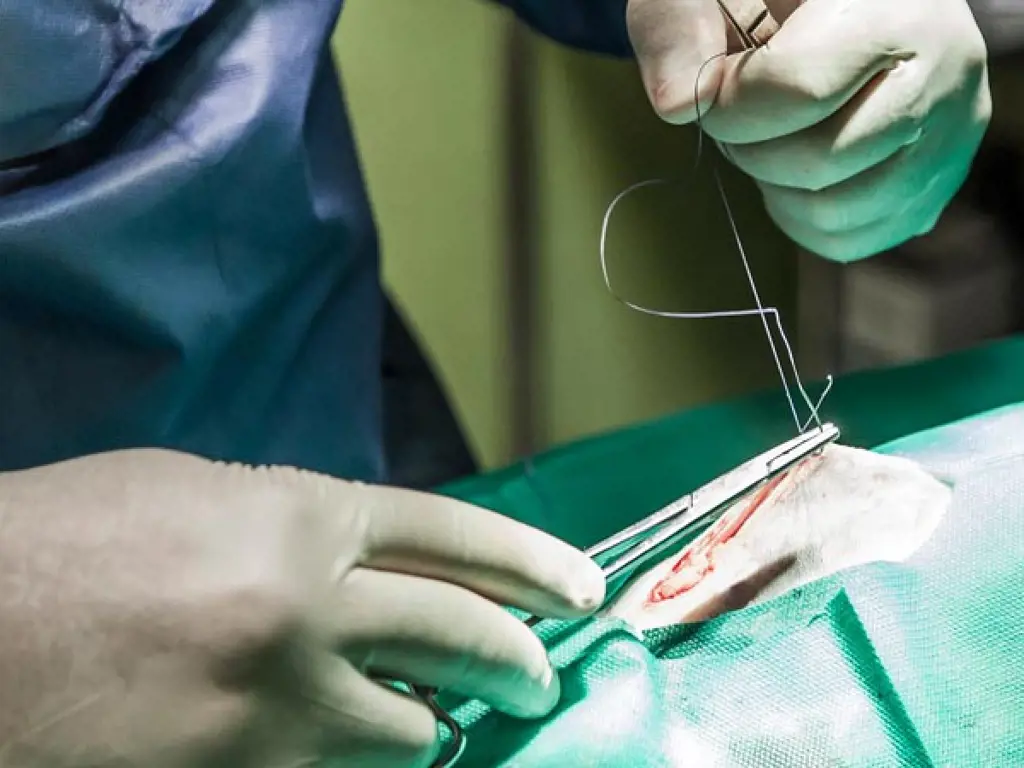 تصویر شماره 1 خدمت 