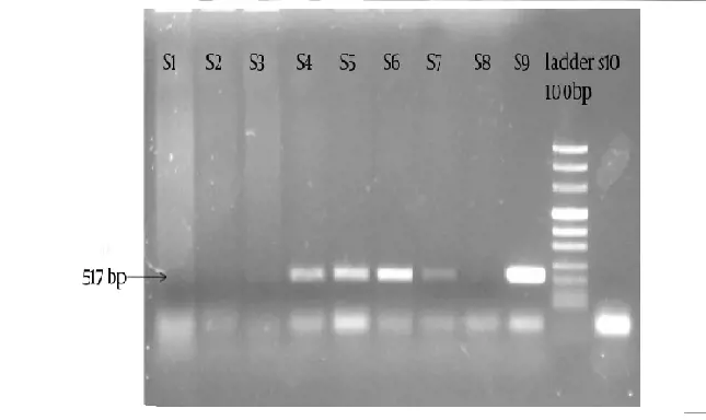 تصویر شماره 1 خدمت 