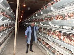 تصویر شماره 1 خدمت 